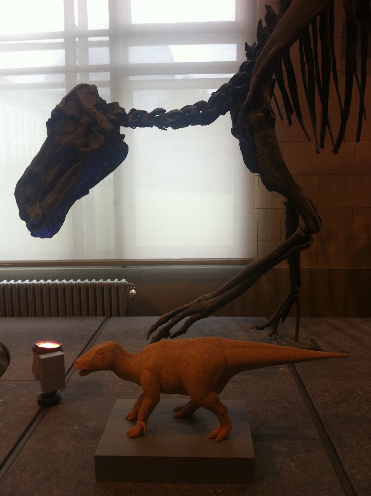 Learning about the world Dorset How the English invented Dinosaurs