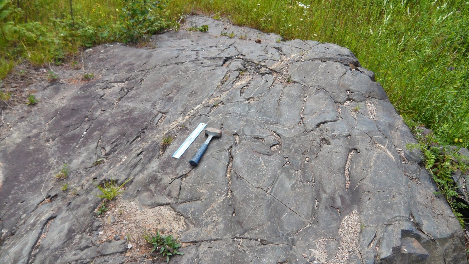 Fossils and Geology of Lanark County, Ontario An Outcrop that Records