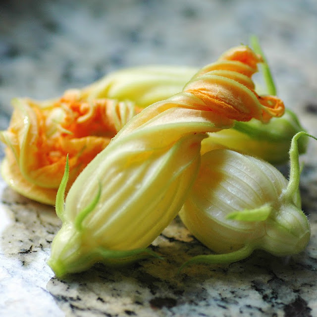 Savoring Time in the Kitchen Deep Fried Zucchini Blossoms