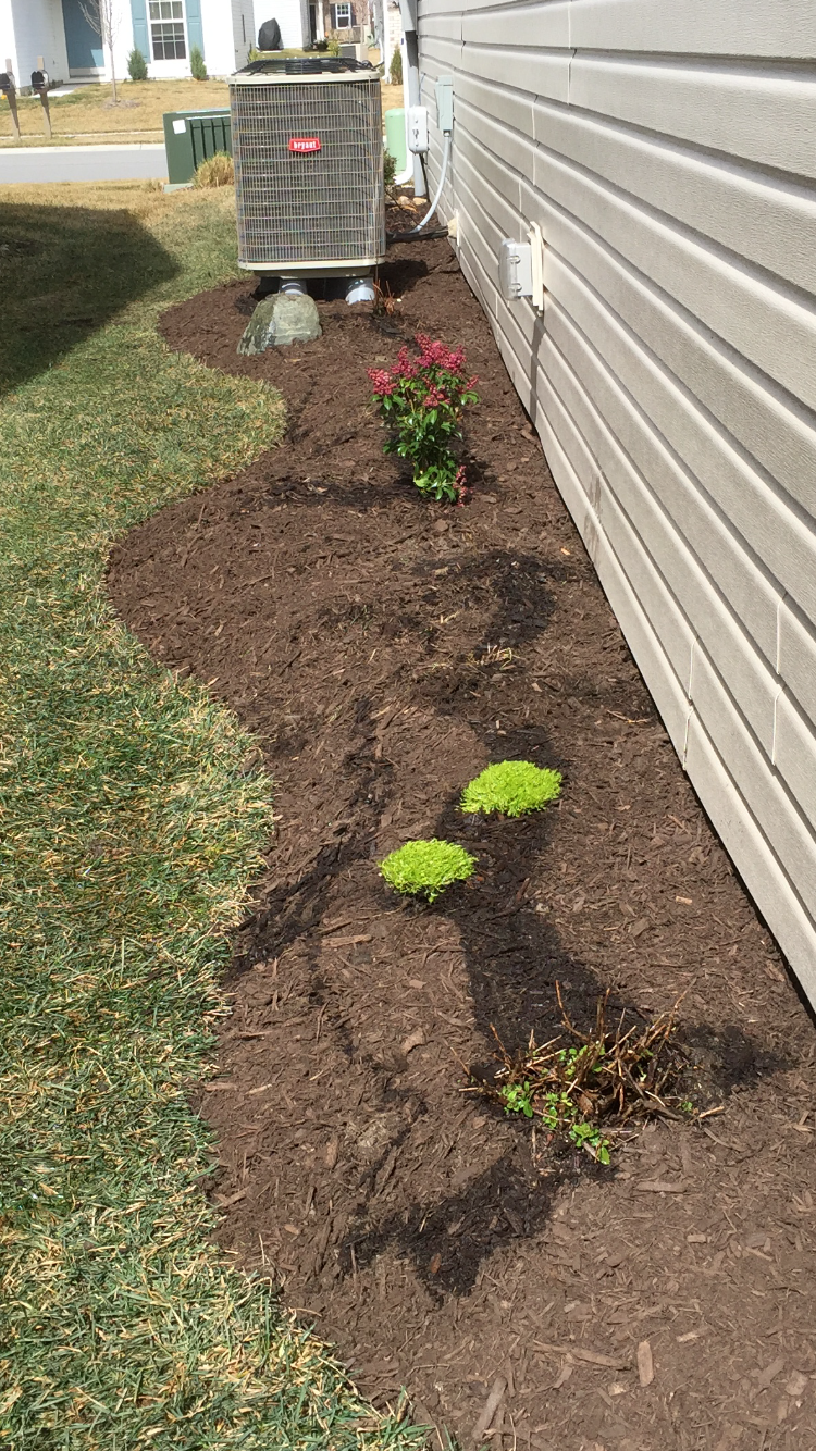Raising the Wet Shade Bed [Backyard Neophyte Landscaping Blog]