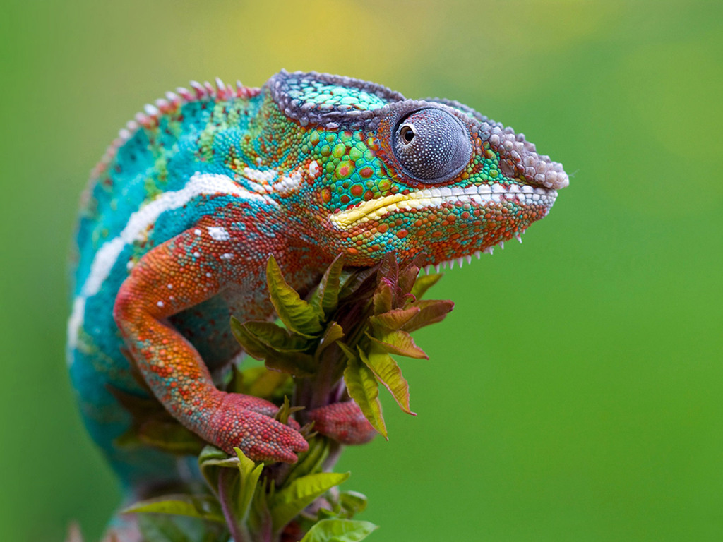 Smoke and Mirrors #75 – Changing Styles