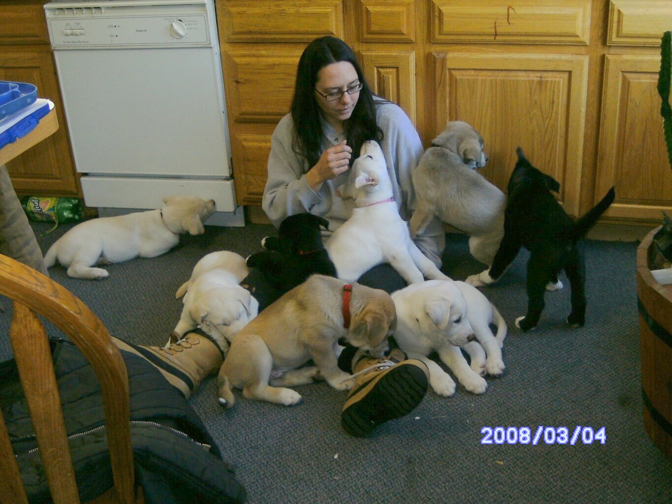 24 PAWS OF LOVE October 2011