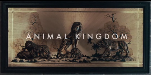 Austen Nuttall's media AS Blog: Animal Kingdom (2010) (Cinema City