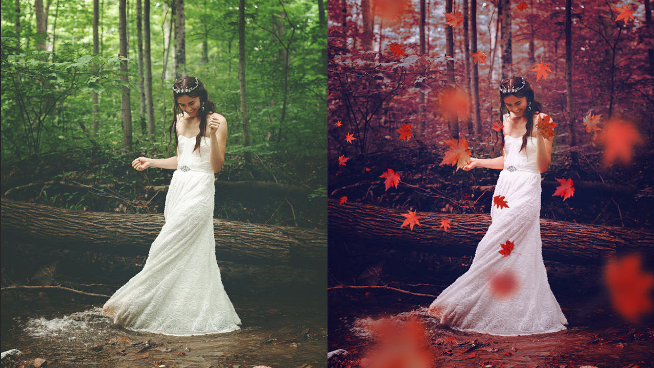 Free Download Preset Material Autumn Dramatic Color Photoshop