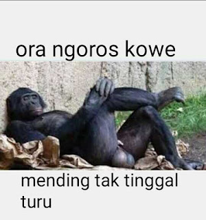 Gambar Lucu Gokil Terbaru Bahasa Jawa Gambar Lucu Gokil Terbaru Bahasa Jawa