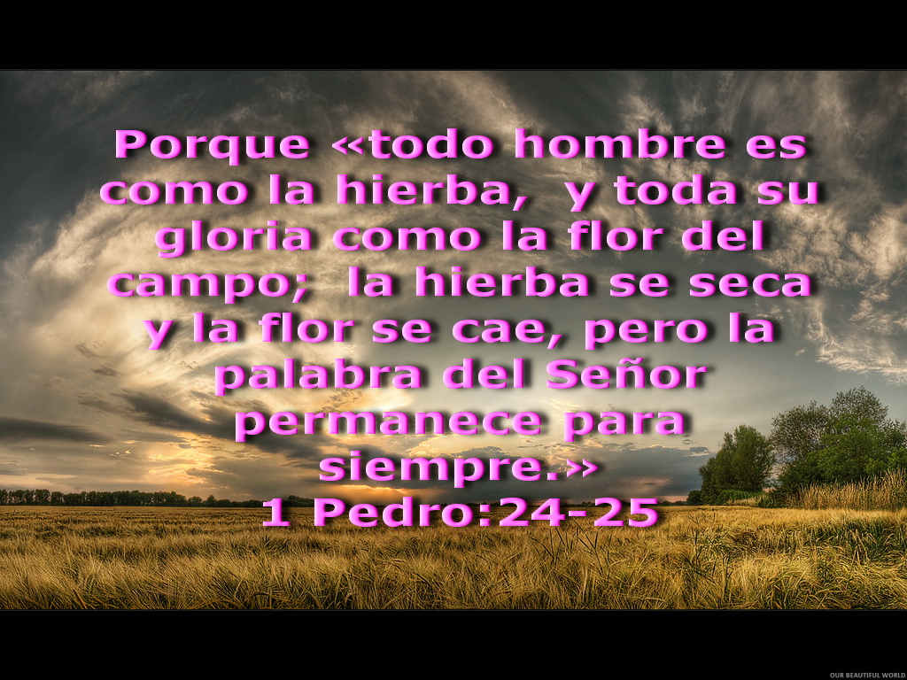 Biblia Paisajes Y Maravillas 1 Pedro 1 24 25 biblia-paisajes-y-maravillas-1-pedro-1-24-25