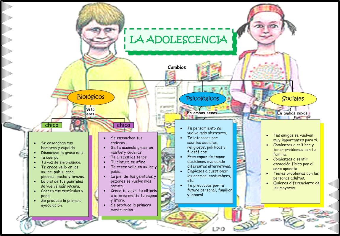 Adolescencia Alta etapa Cambios físicos
