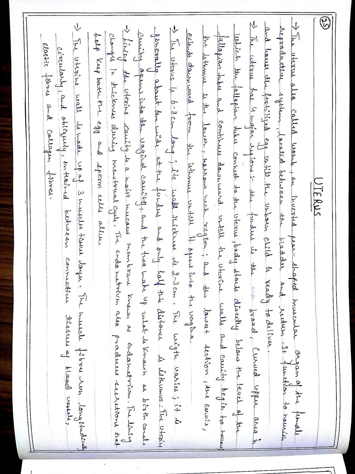 Anatomy Diagram Book