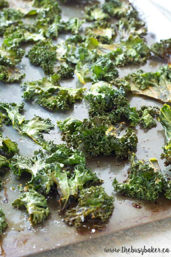 No Fail Sea Salt and Garlic Kale Chips The Busy Baker