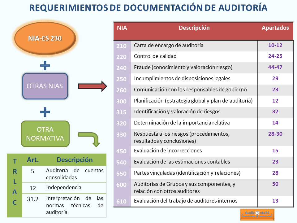 Nia 230 Documentación De Auditoría