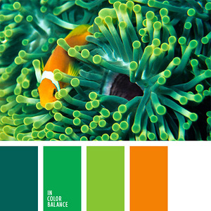 Морские и водные обитатели- гармоничные палитры в 5 цветов