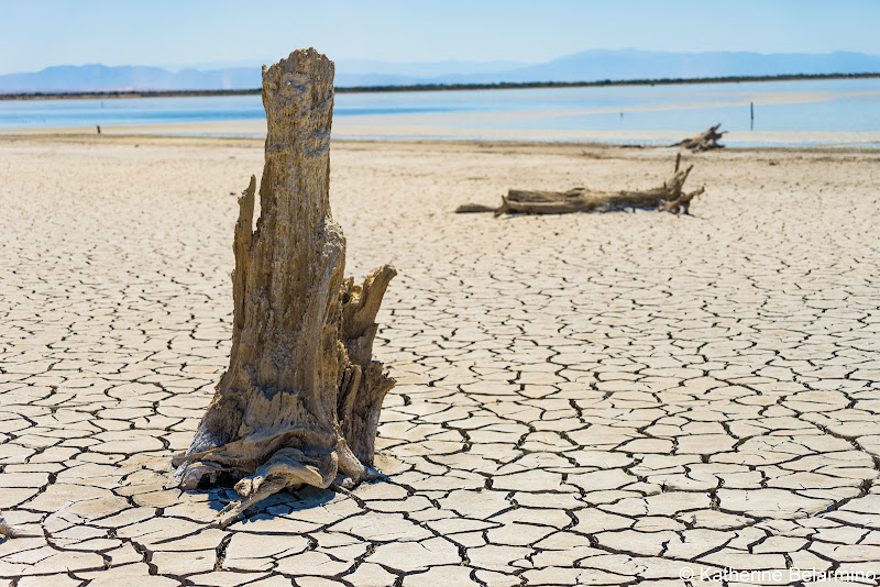 Cracked Mud Salton Sea Ghost Towns Photography