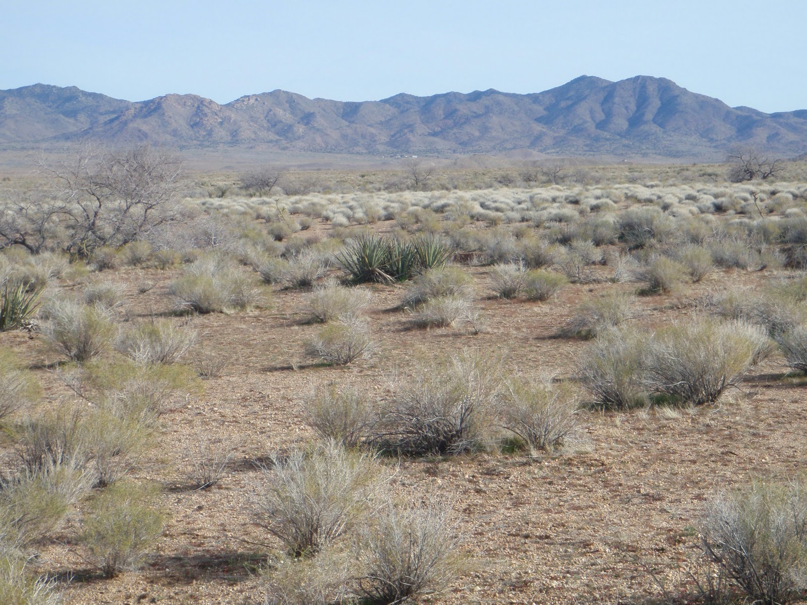 Xtremehorticulture of the Desert Job Posting HEAD FARM MANAGER