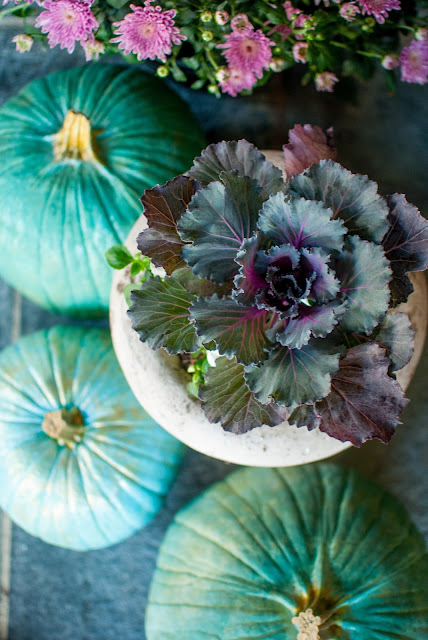 Ornamental kale, pink mums, and Cinderella blue pumpkins for fall decor - Gwen Moss