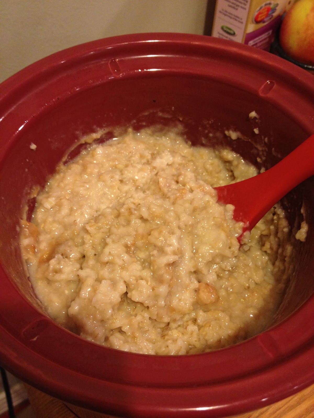 My Salty Kitchen Slow Cooker Steel Cut Oats