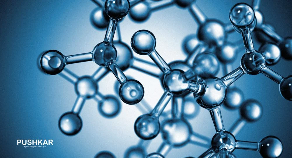АМИНОКИСЛОТЫ: ЧТО ЭТО ТАКОЕ? ИХ РОЛЬ В ЗДОРОВЬЕ И МЕДИЦИНЕ.
