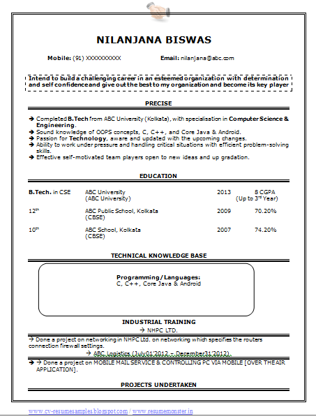 Over 10000 CV and Resume Samples with Free Download: Computer Science