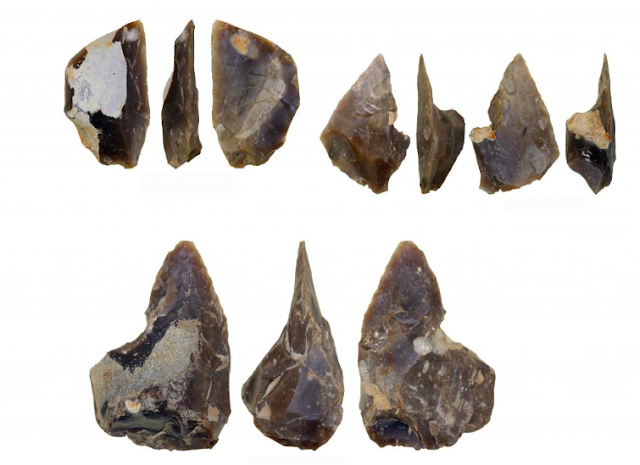 Neanderthal flint knapping site discovered in the southern Poland