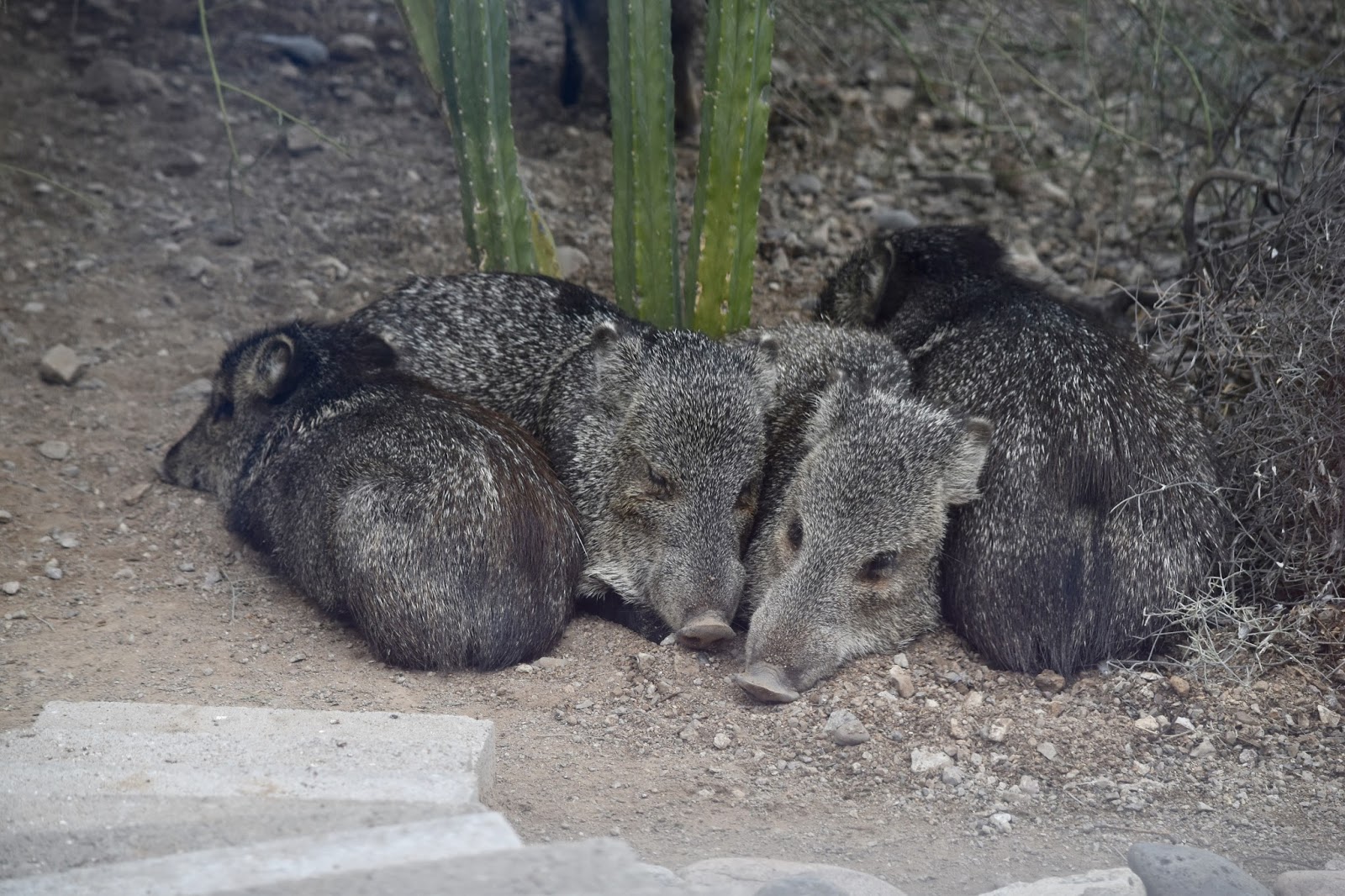 Life in the Fast Lane