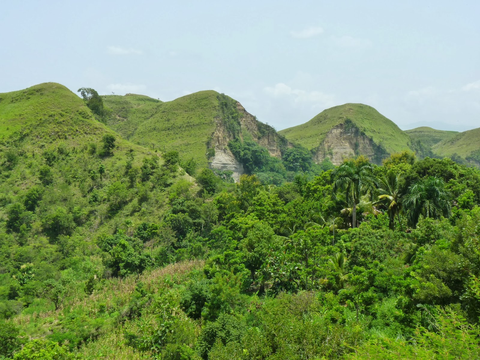 Many Parts, One Body Masters of the Dew