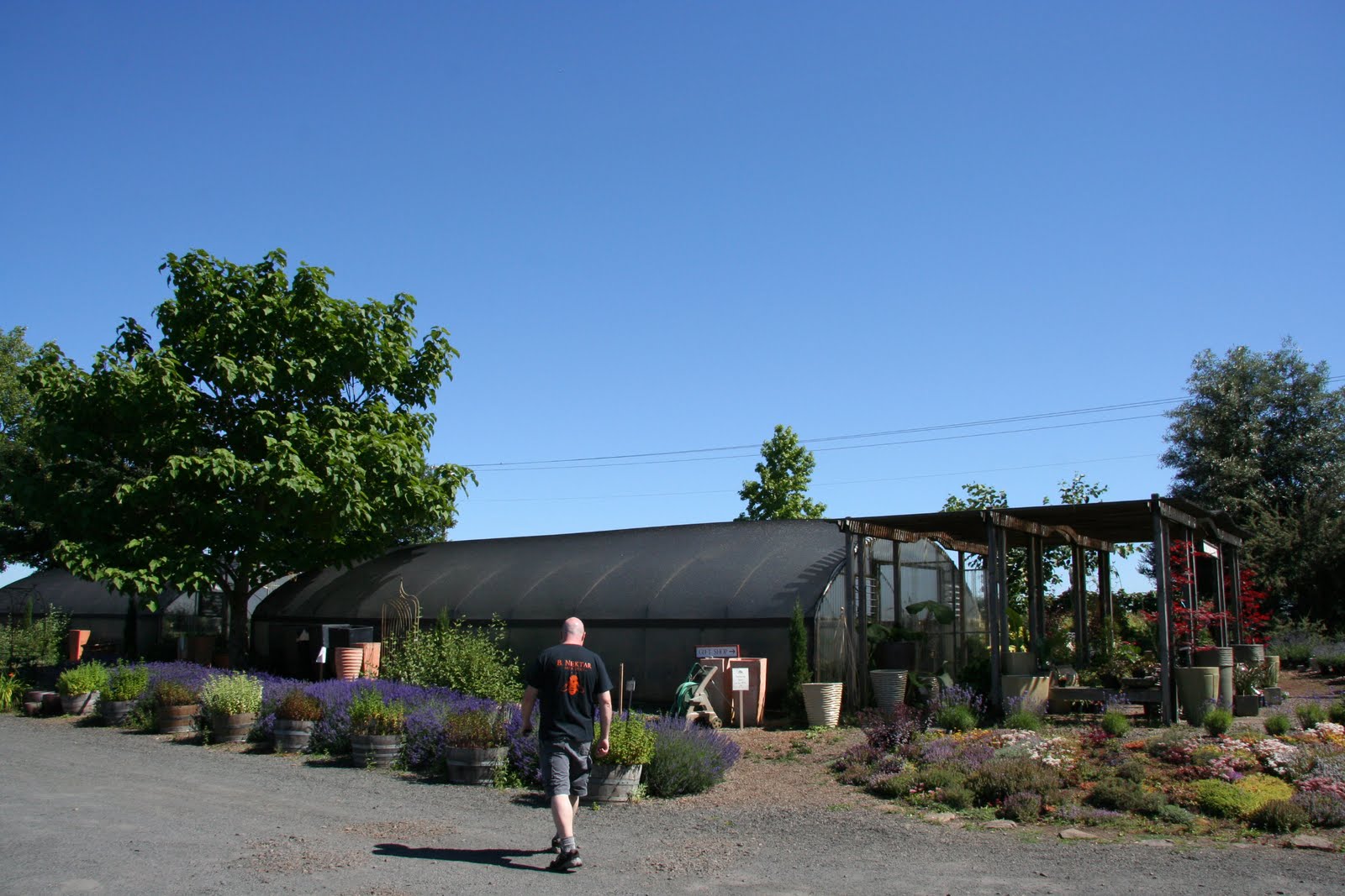 Daffodils & Daydreams Nursery Visit Red Ridge Farms in Dayton, Oregon