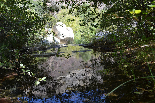 reflections on the water