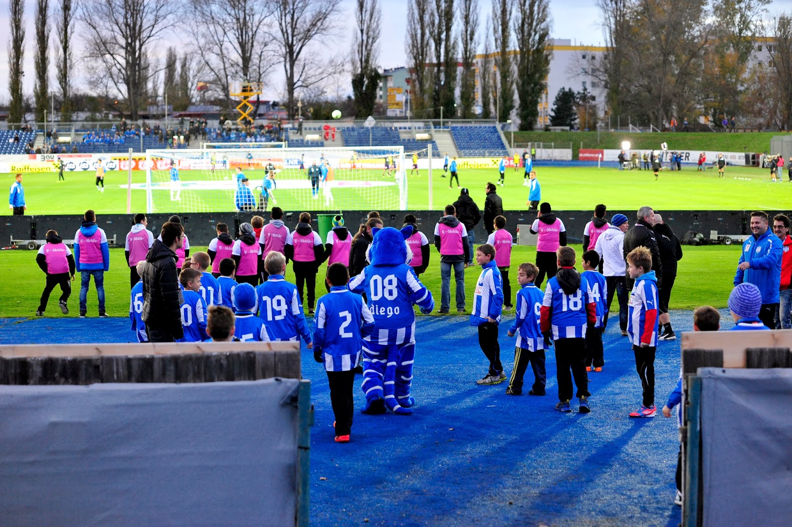 Sports, Groundhopping SC Wiener Neustadt Austria Wien, Bundesliga Österreich, Stadion Wiener
