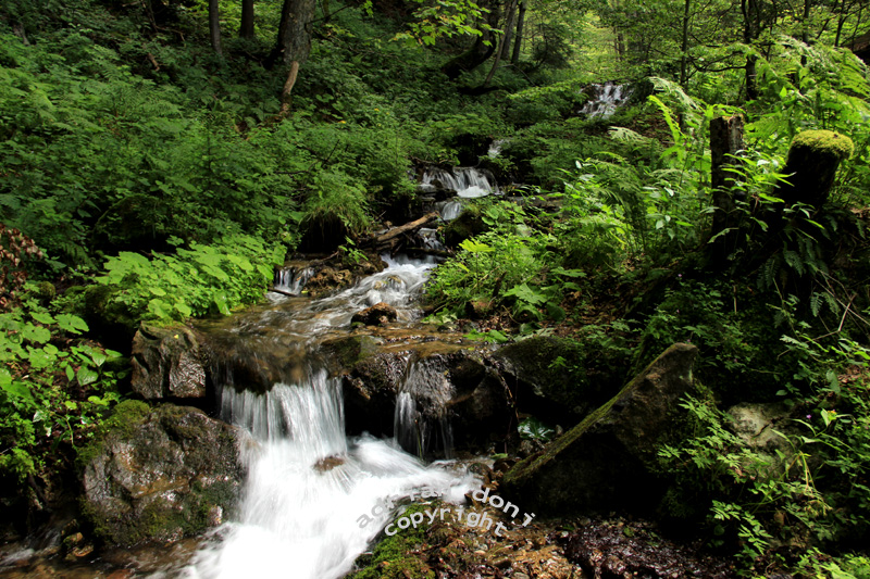 Drumetii Moldave Izvorul Muntelui Jgheabul cu Hotar Cabana Dochia