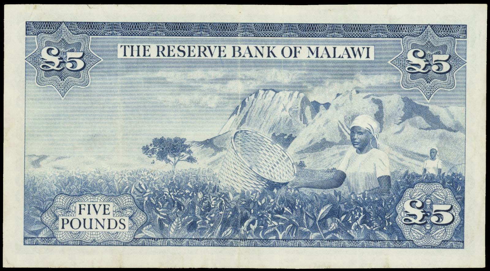 Malawi currency 5 Pounds banknote 1964World Banknotes & Coins Pictures
