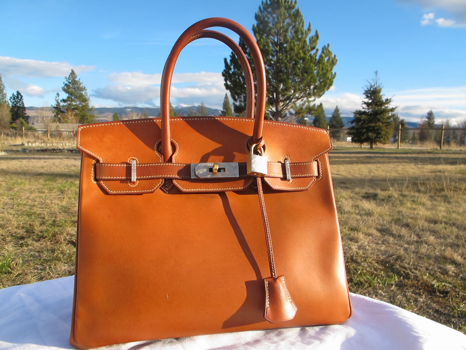 Docride's Luxury Again Dry Rot Leather what does it mean and what to