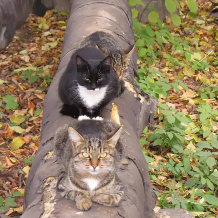 Picdump-Ritemail_015.jpg