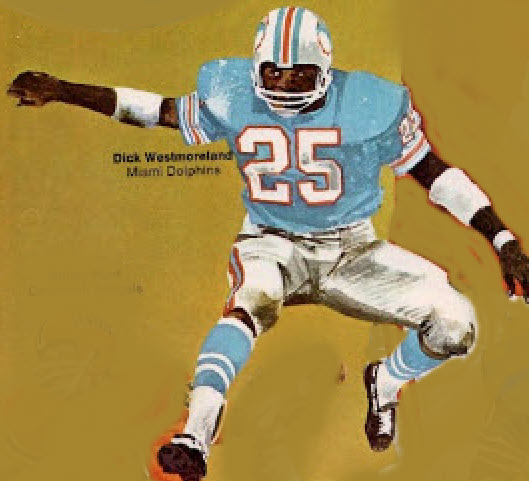 Miami Dolphins wide-receiver Paul Warfield by Mike Gardner  Miami dolphins  football, Dolphins football, Nfl football art