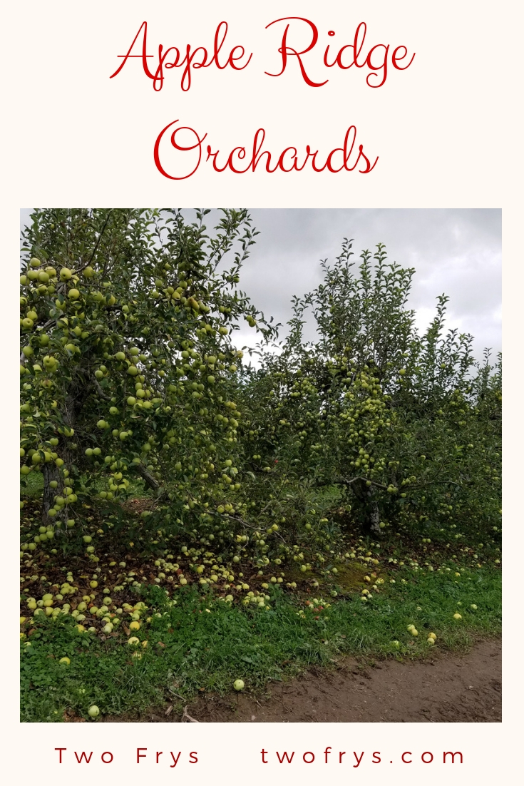 Two Frys Apple Ridge Orchards