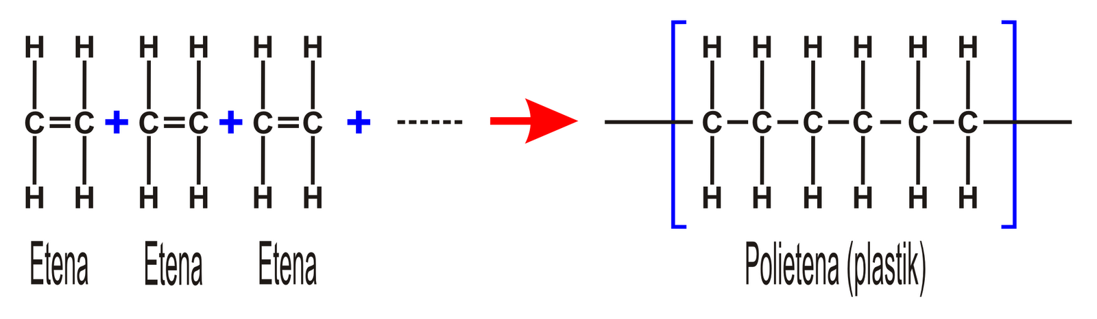 JAMU GODOG KENDHIL KENCANA: Produk Alami 5 - Natural Product - 天然产物化学 - 天然產物化學 - Polimer 3