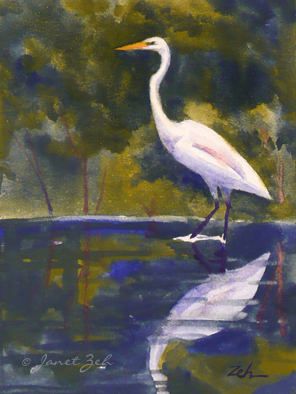 Zeh Original Art Watercolor and Oil Paintings Great Egret White