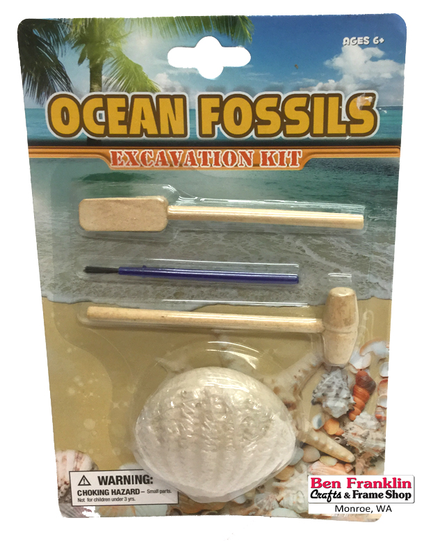 Fossils Ocean Fossils