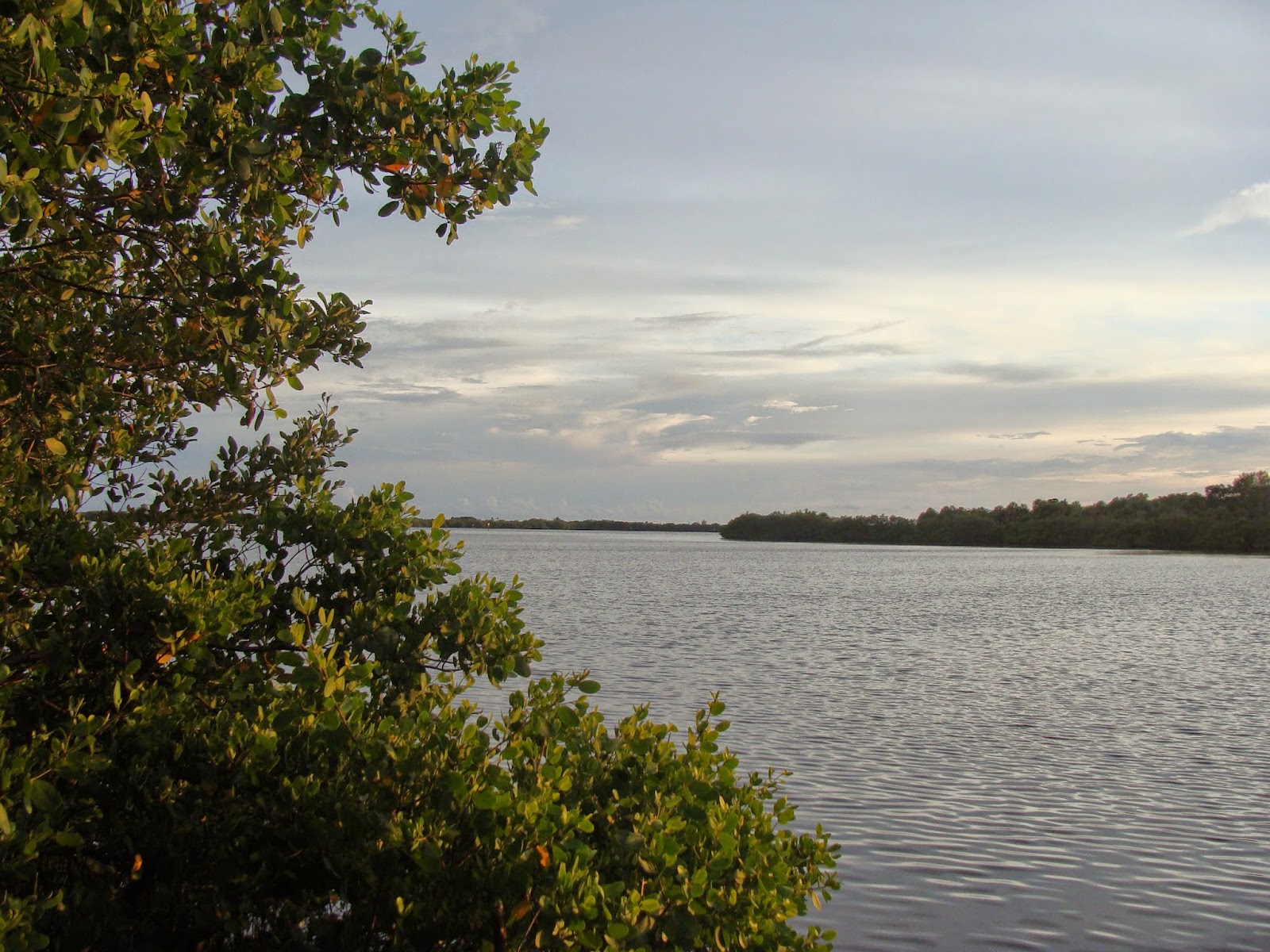 THE SIMMONS SAGA Camping near St Petersburg, Florida