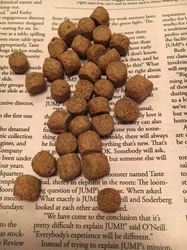Now weight management dog food