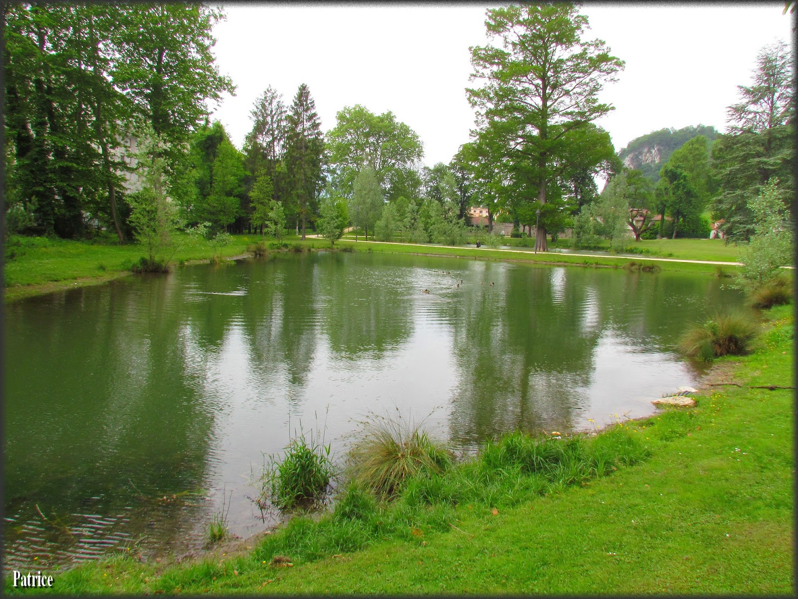 Blog Photos de Patrice Visite parc Rochepleine à St Egrève.