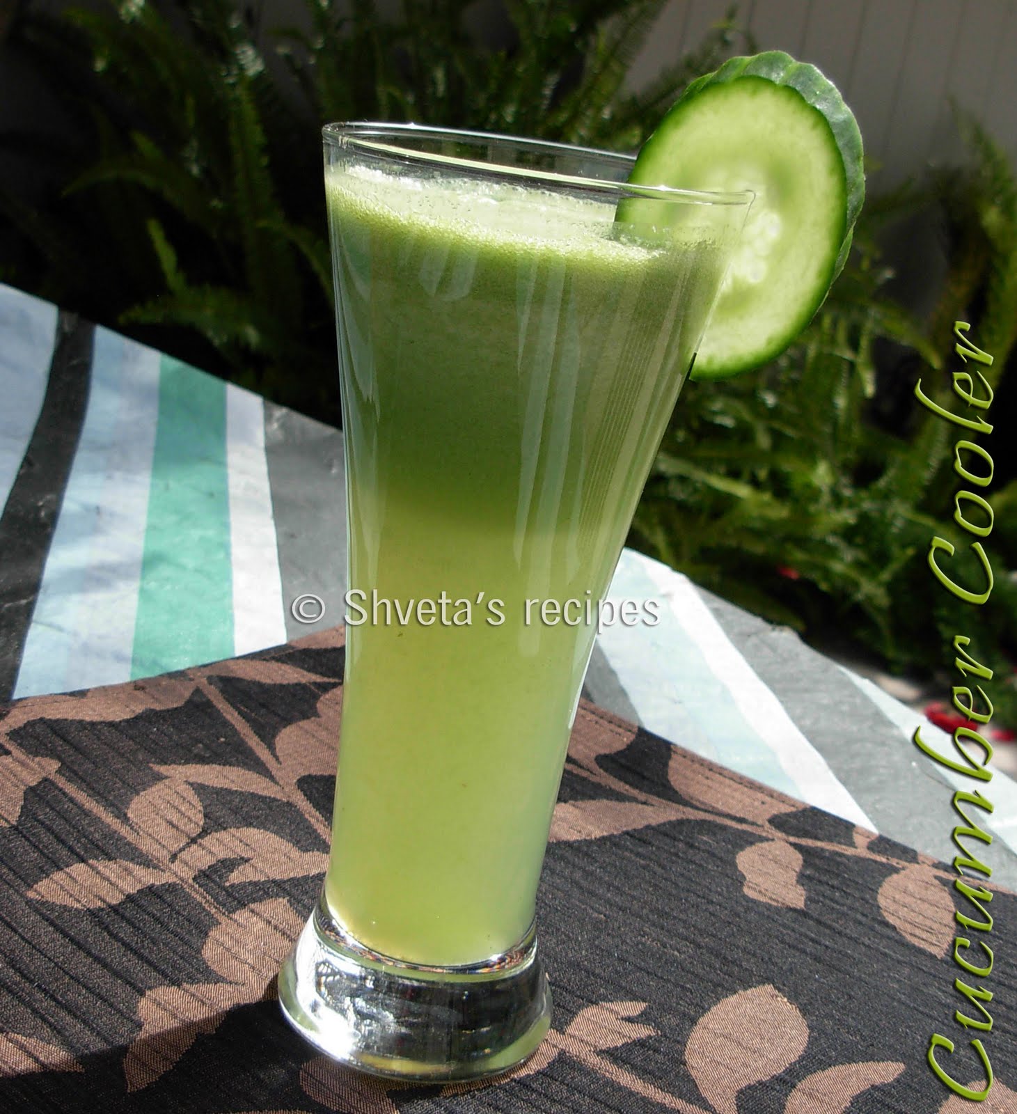 Shveta's Recipes Cucumber cooler drink
