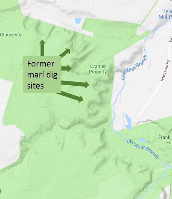 This Week in Mantua Township History Ceres Park and the Gardening of the State