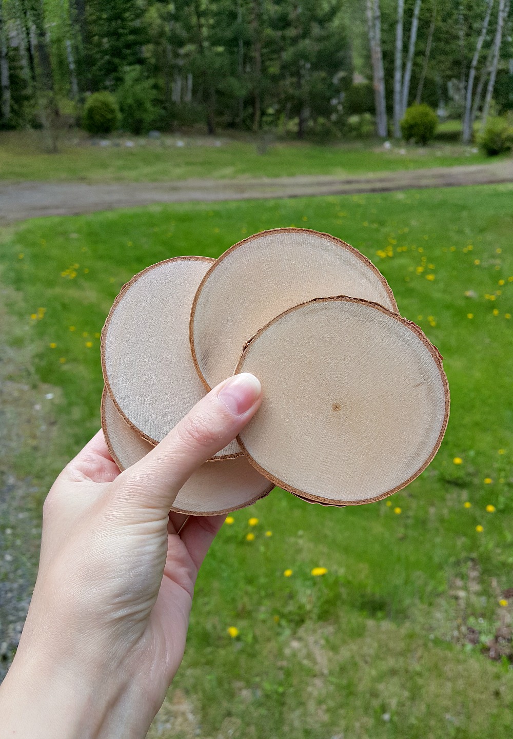 Dipped DIY Birch Slice Coasters Dans le Lakehouse