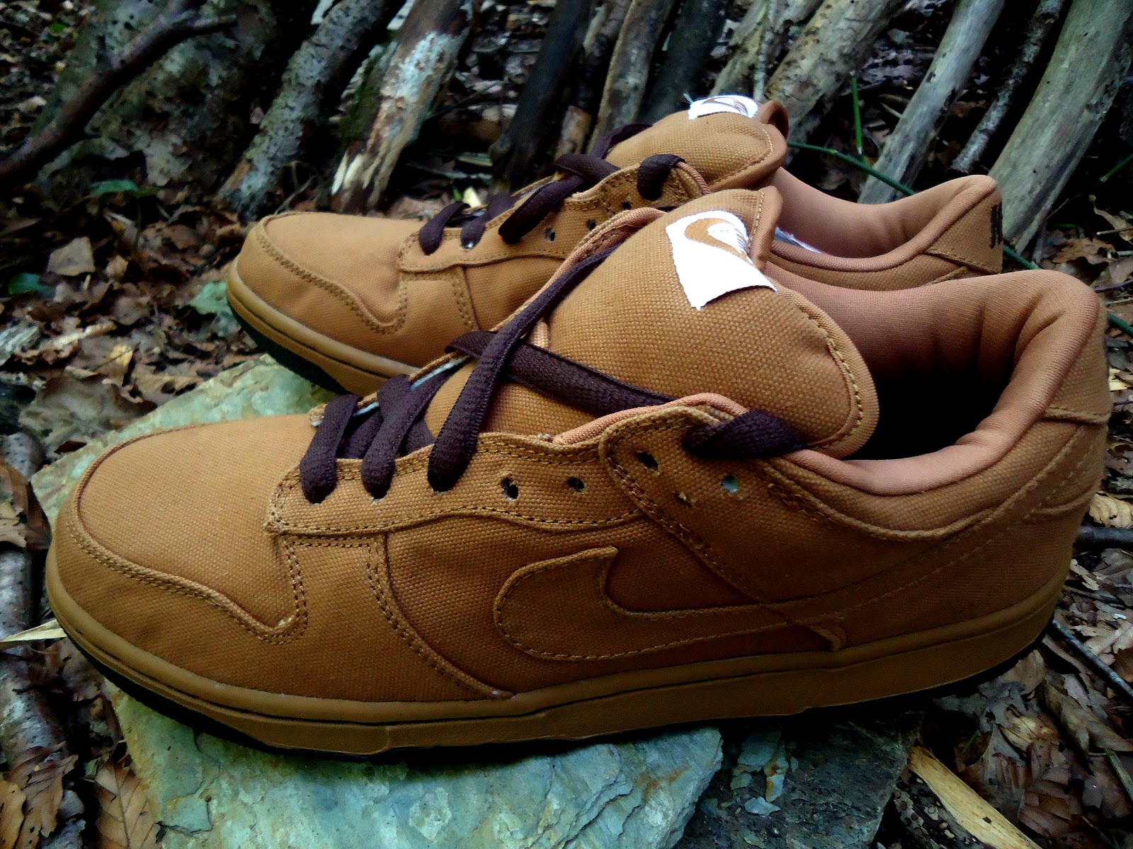 nike dunk sb carhartt