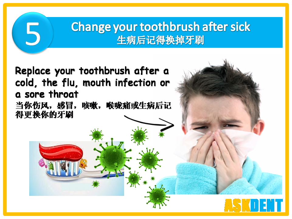 Ask.DentistMY 牙牙学医 The Ugly Truth You May Not know About Your ToothBrush