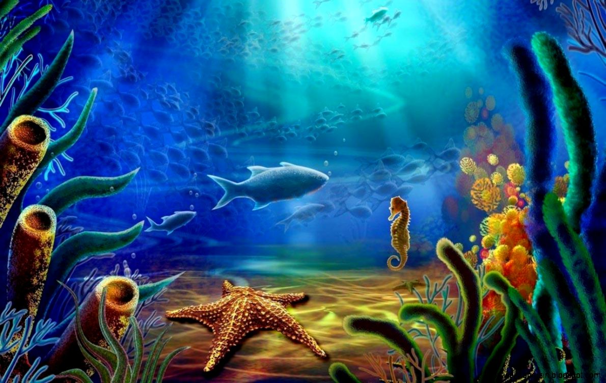 Under Water Live Wallpapers   Android Apps and Tests   AndroidPIT