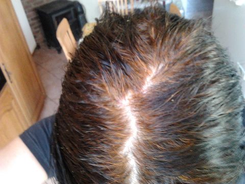 henné cheveux blancs