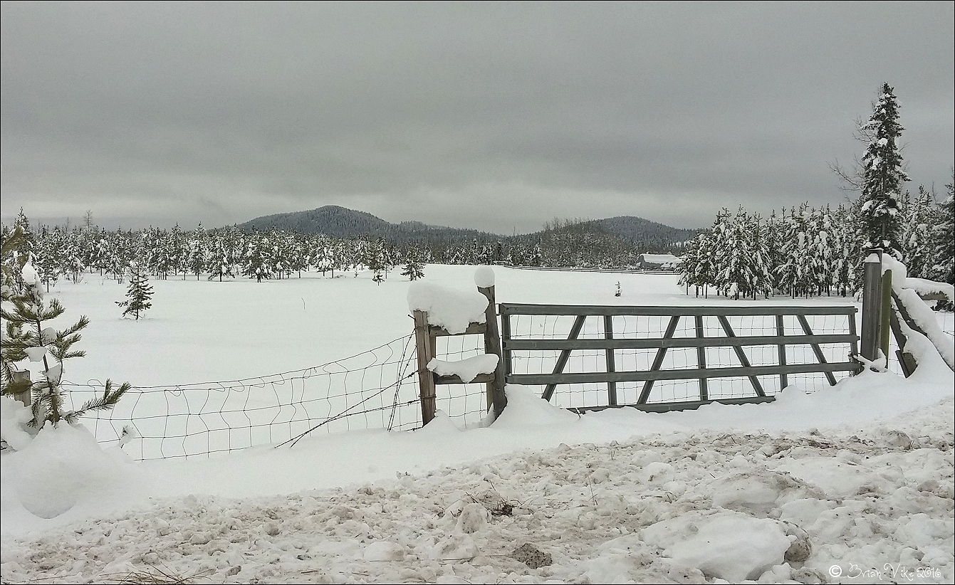 Northern Interior British Columbia 2016 Winter On The Farm Topley