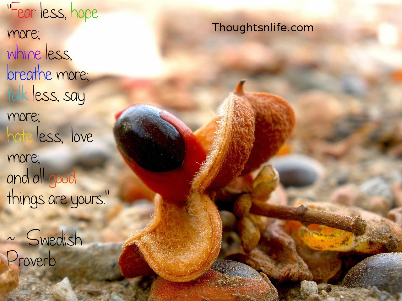 Thoughtsnlife.com:"Fear less, hope more;  whine less, breathe more;  talk less, say more;  hate less,  love more;  and all good things are yours."  ~   Swedish Proverb