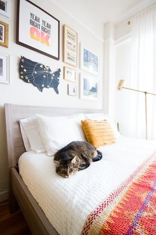 Amazing cats and their boho-tastic homes - cat 8 www.BoHoHome.com @bohosusan