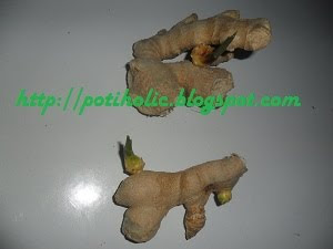brotes de jengibre para ser cultivados en maceta o en huerto urbano